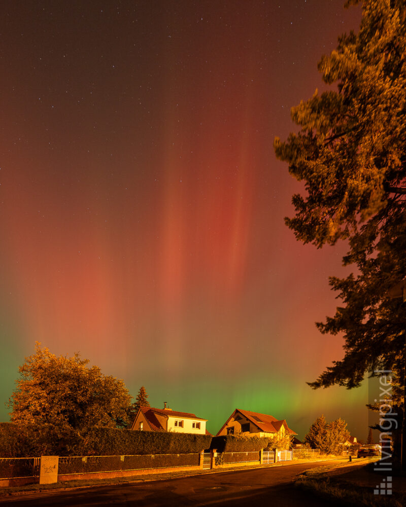 Polarlichter über der Stadt